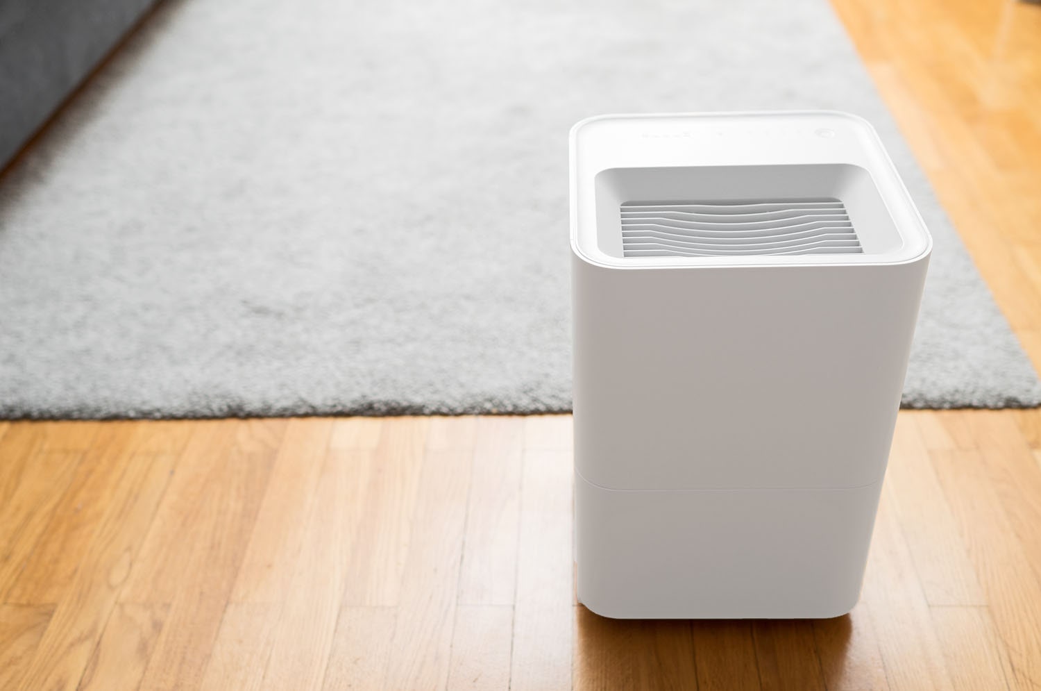 Does A Dehumidifier Help With Eczema